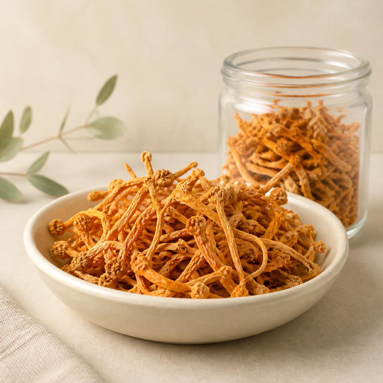눈꽃동충하초 생초 200g